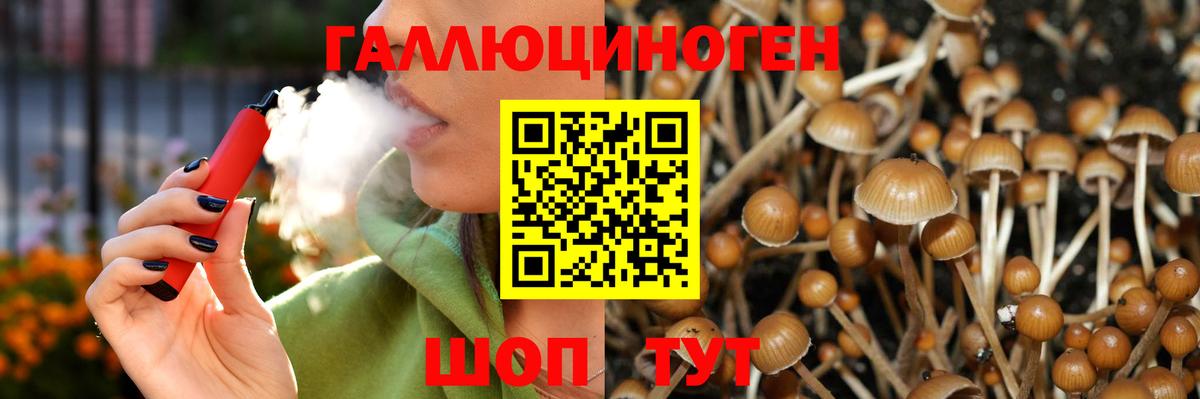 Псилоцибиновые грибы мухоморы  купить наркотики сайты  Зеленокумск  Вход с VPN 